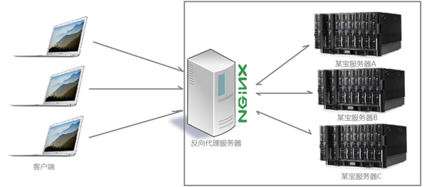 Nginx的作用有什么