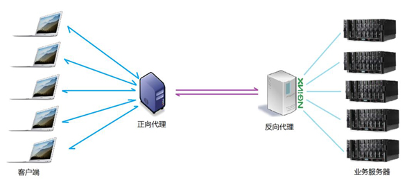 Nginx的作用有什么