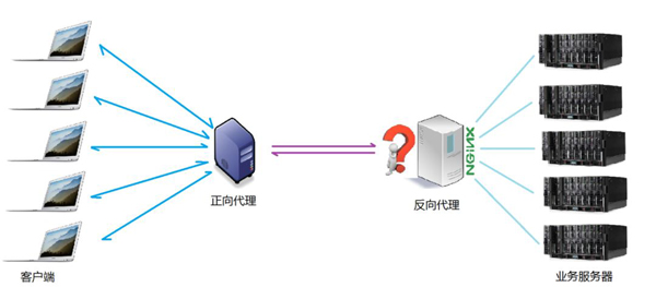 Nginx的作用有什么