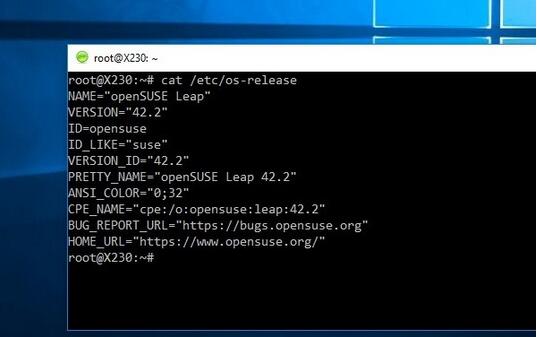 怎么在Windows 10中运行openSUSE