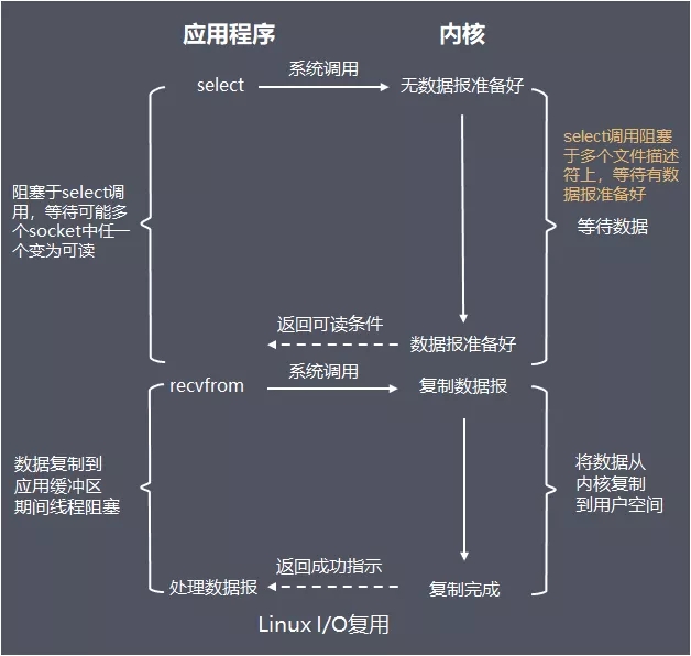 Java I/O体系的原理及应用