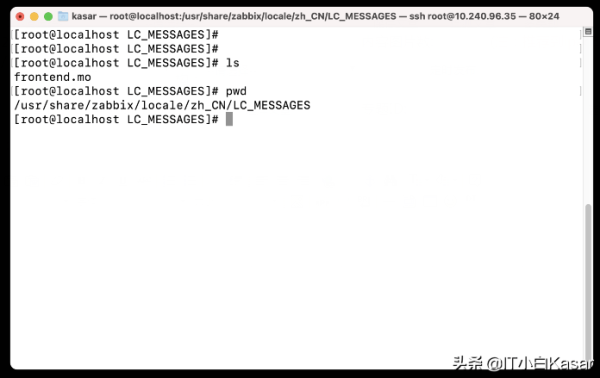 Zabbix 5.2如何漢化