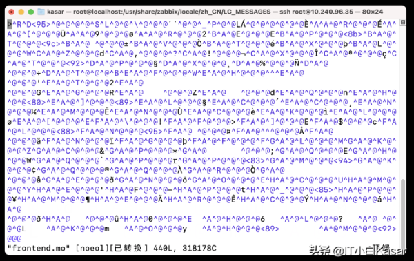 Zabbix 5.2如何漢化