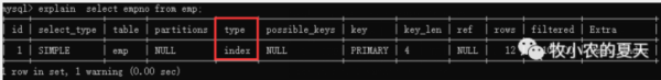 MySQL的执行计划是什么