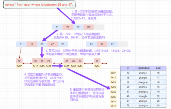 MySQL索引的相关知识点有哪些