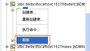 NetBeans6.1中数据库的基本操作是什么