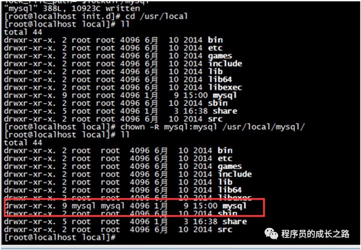 怎么Linux系统下安装MySQL