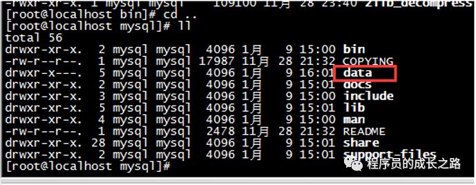 怎么Linux系统下安装MySQL