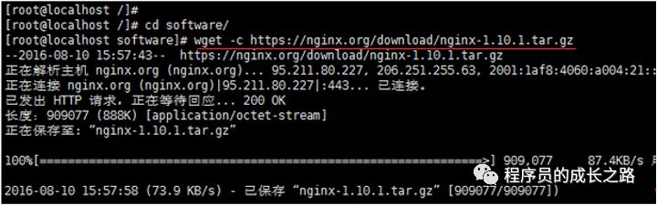 Linux怎么安装Nginx