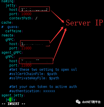 .NetCore SkyWalking APM怎样实现服务器监控环境安装及基础使用