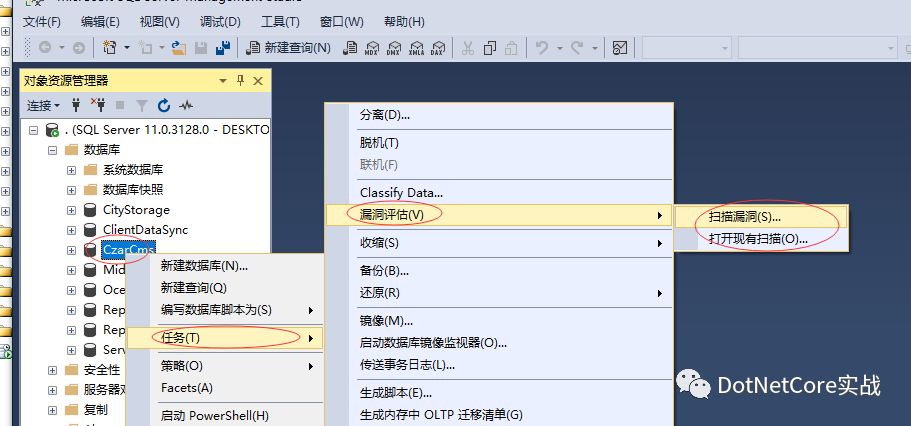 SQL Server数据库漏洞评估是怎样的呢