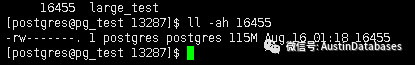 PostgreSQL 磁盤空間的保護傘PG_repack及表膨脹的示例分析