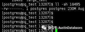 PostgreSQL 磁盤空間的保護傘PG_repack及表膨脹的示例分析