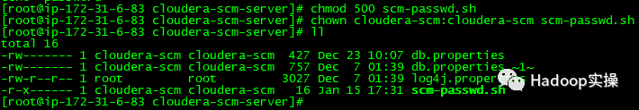 如何对Cloudera  Manager的数据库密码进行脱敏