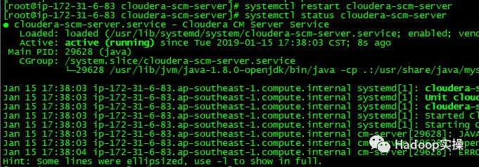 如何对Cloudera  Manager的数据库密码进行脱敏