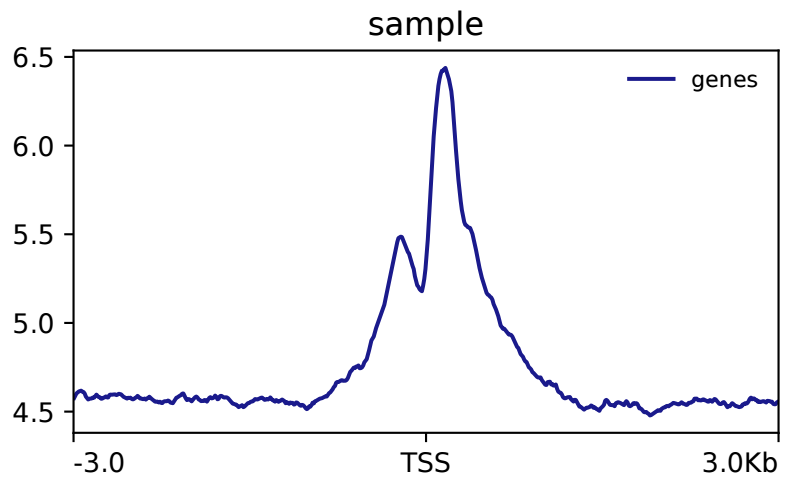 如何使用deeptools查看reads分布特征