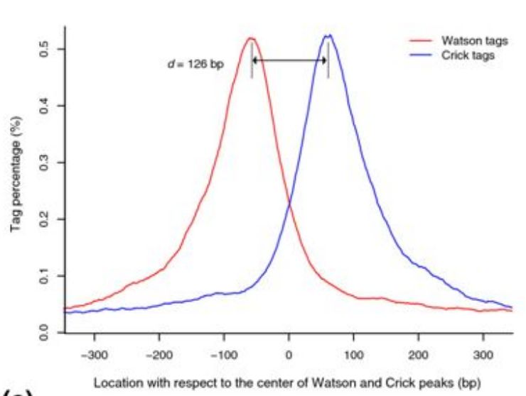 peak calling软件MACS如何使用