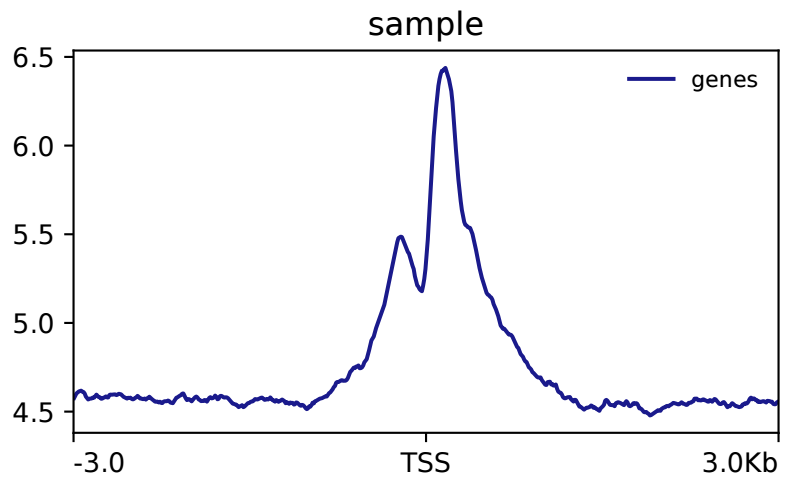 在chip_seq数据分析中peak注释信息的示例分析