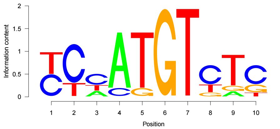 如何使用seqLogo可視化motif