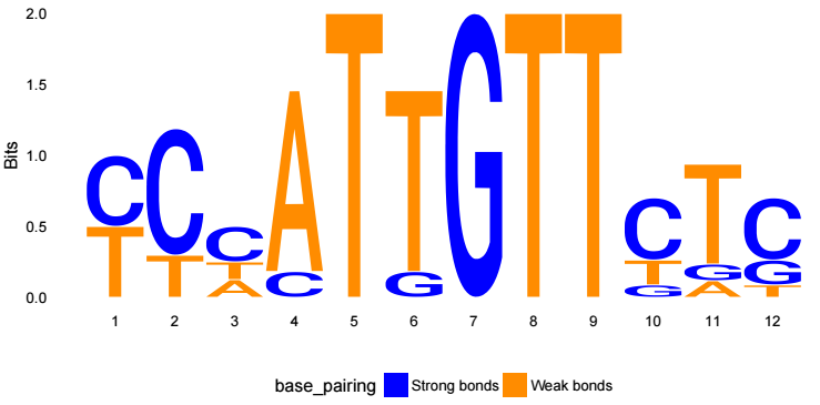 如何使用ggseqlogo可视化motif