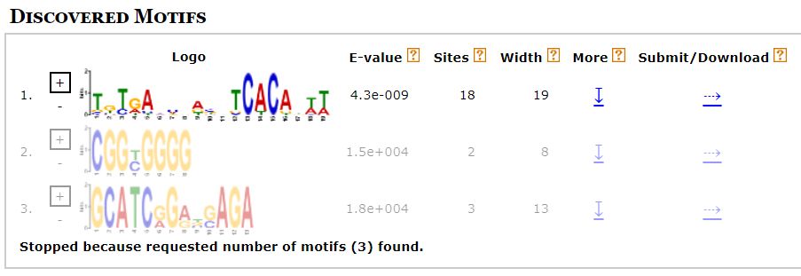 如何使用MEME挖掘序列中的de novo motif