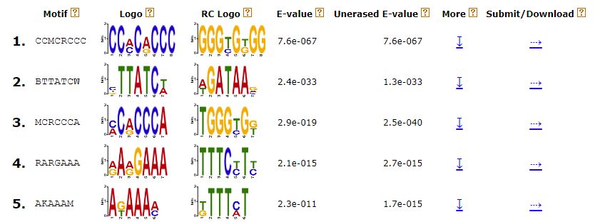 如何使用DREME挖掘序列中的de novo motif