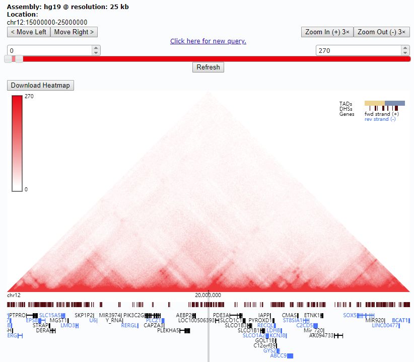 Hi-C数据可视化工具Genome Browser的实例分析