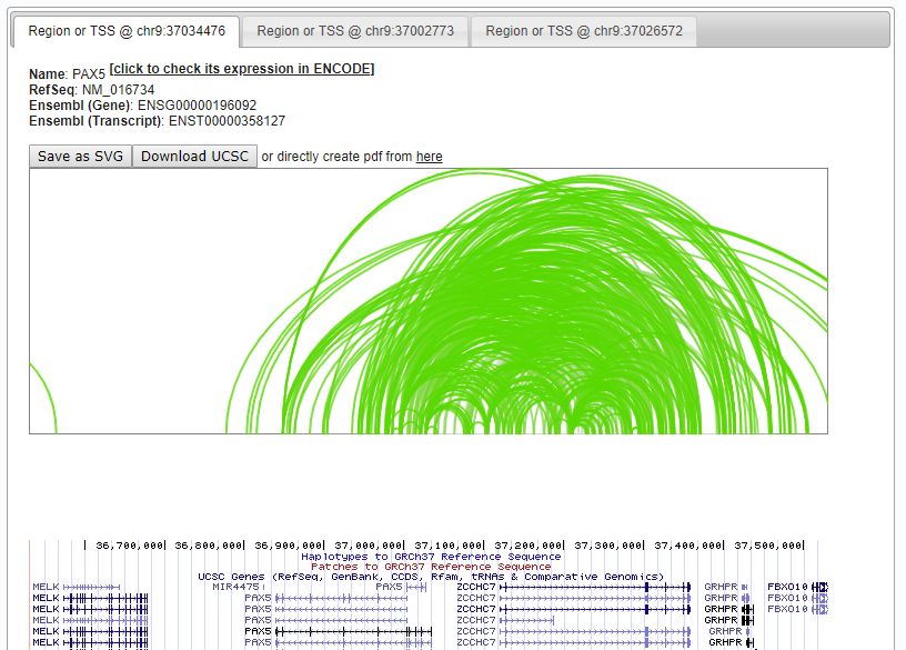 Hi-C数据可视化工具Genome Browser的实例分析