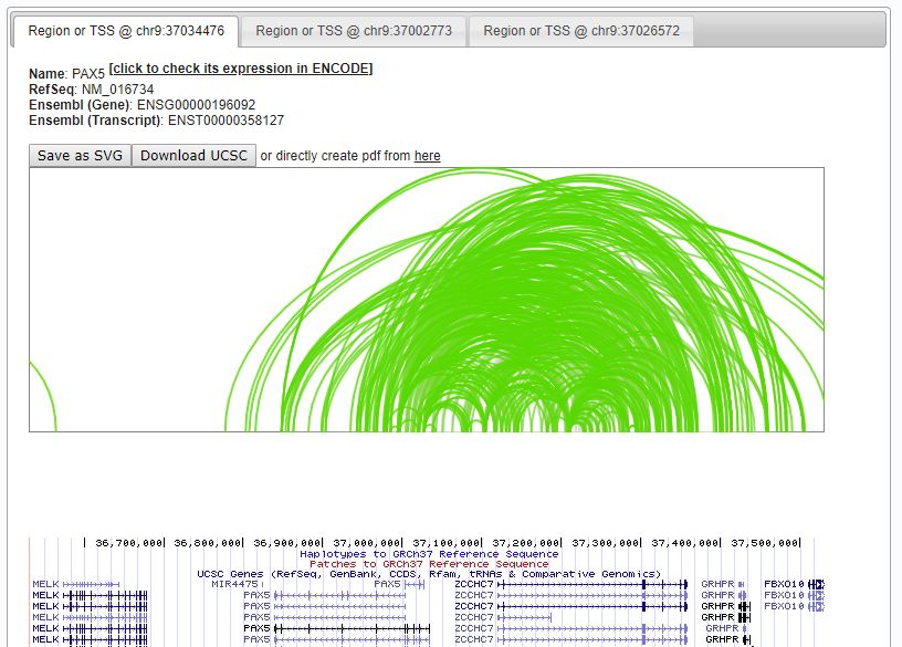 Hi-C數(shù)據(jù)可視化工具Genome Browser的實(shí)例分析