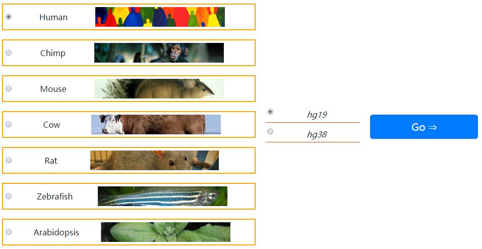 如何使用WashU Epigenome Browser可視化hi-c數(shù)據(jù)