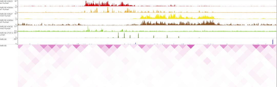 如何使用WashU Epigenome Browser可视化hi-c数据