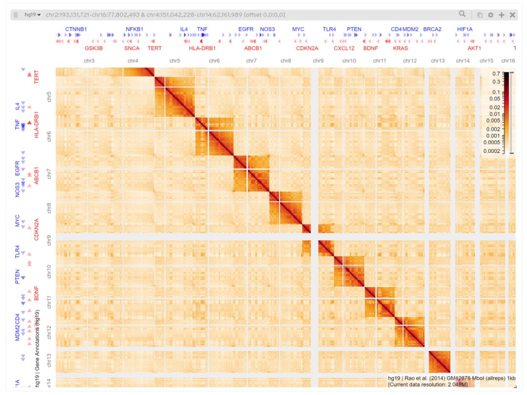 高度定制的Hi-C数据可视化应用HiGlass是怎样的呢