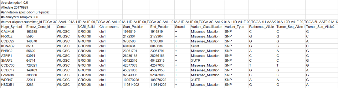 如何理解Mutation Annotation Format格式