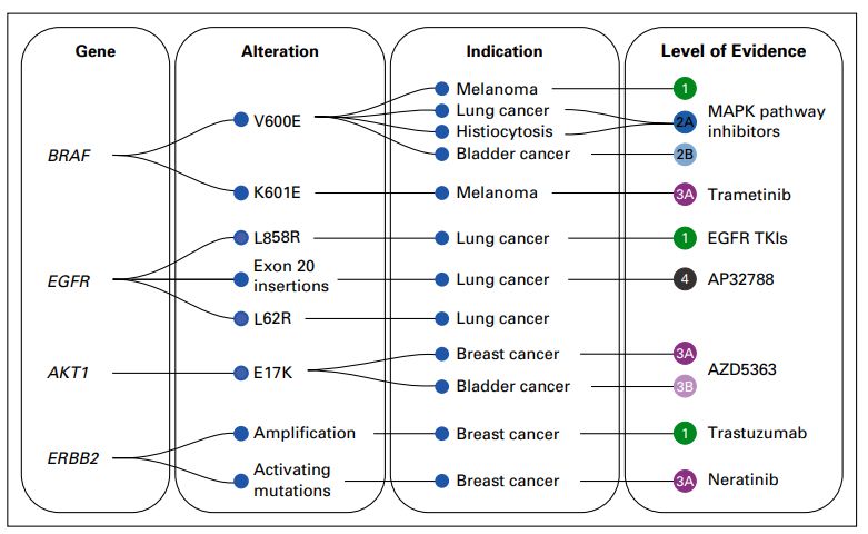 OncoKB数据库有什么用