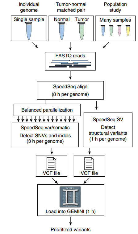 如何理解基因组数据分析软件SpeedSeq