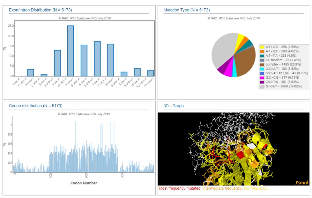 IARC TP53数据库的示例分析