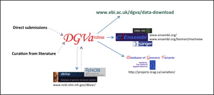 DGVa数据库有什么用