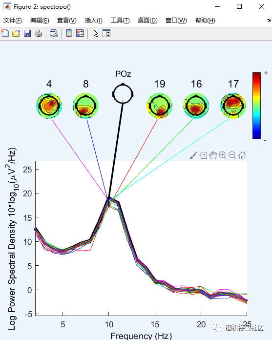 eeglab中如何绘制component spectra and maps和独立成分ERPs