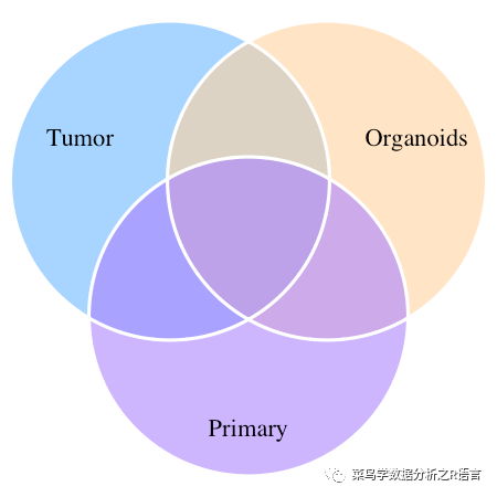 如何使用R语言来绘制韦恩图