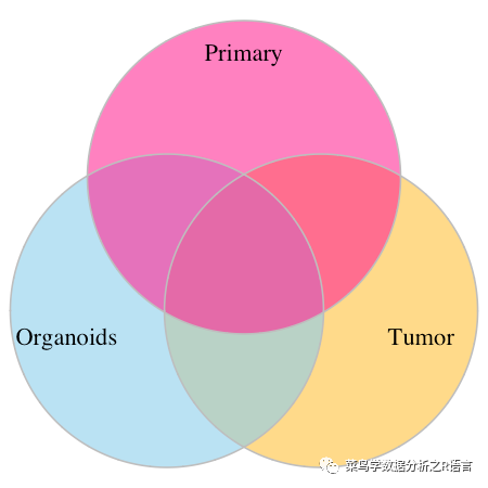 如何使用R语言来绘制韦恩图