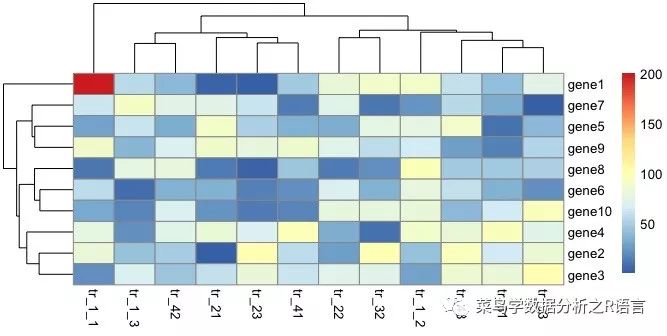 Pheatmap怎样绘制热图