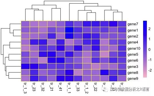 Pheatmap怎样绘制热图