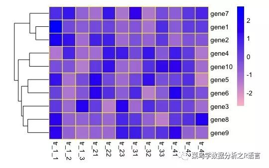 Pheatmap怎样绘制热图