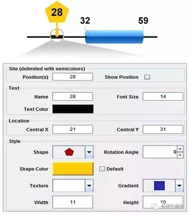 二维线性基因结构绘制软件IBS有什么特点