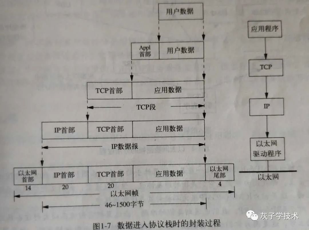 TCP/IP协议中用户数据的传递过程及协议头部信息是怎样的