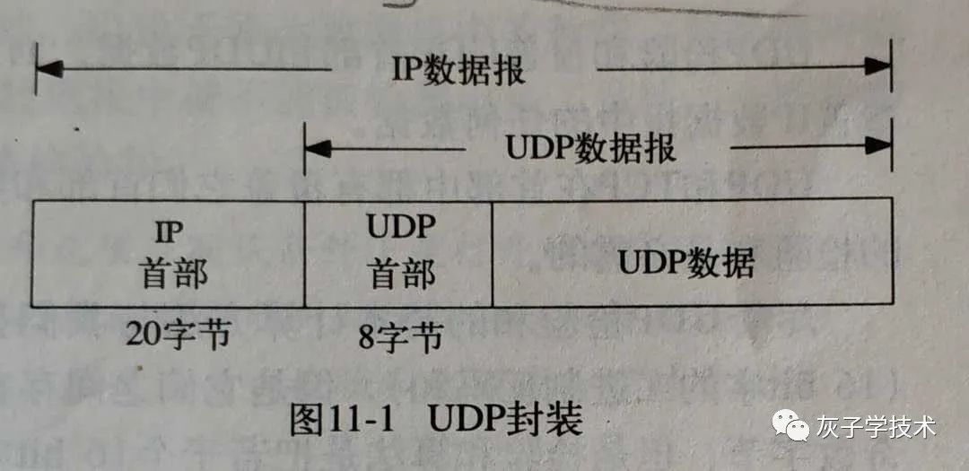 TCP/IP协议中用户数据的传递过程及协议头部信息是怎样的