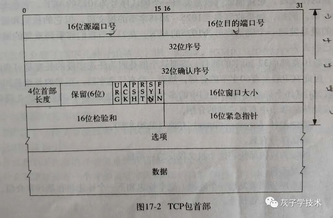 TCP/IP協(xié)議中用戶數(shù)據(jù)的傳遞過程及協(xié)議頭部信息是怎樣的