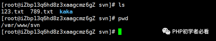 Linux安装svn并设置钩子同步到web目录