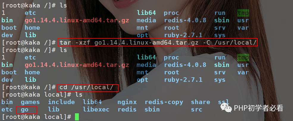 怎么在Linux上运行go程序