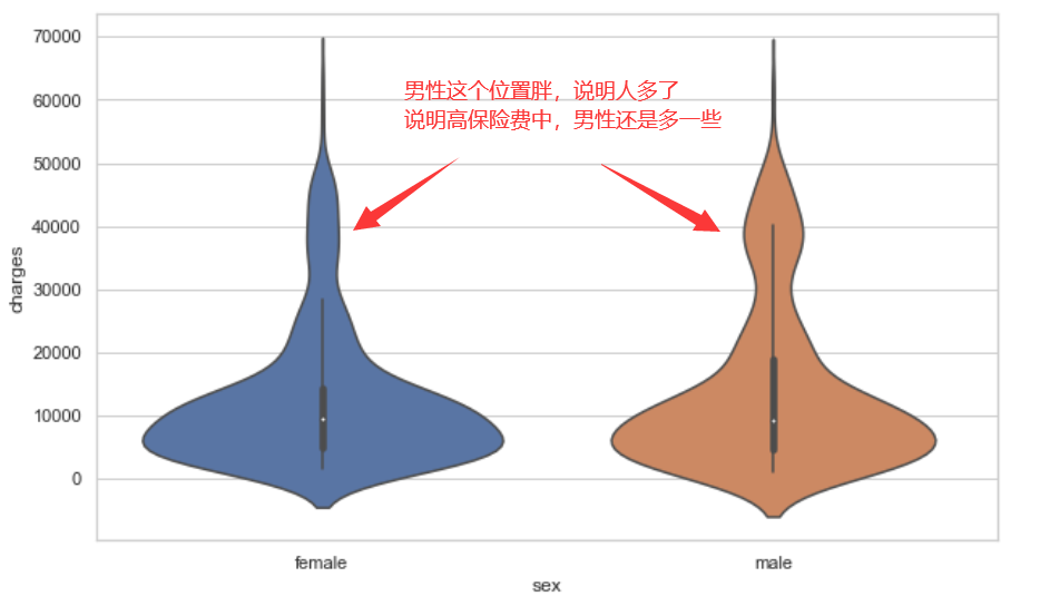 python怎么分析保险费数据集